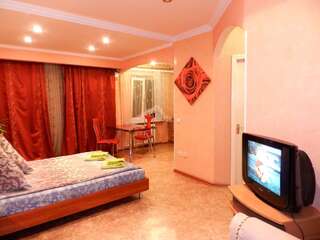 Апартаменты 1-room Apartment on Honcharenka Street 29. Center Запорожье Апартаменты с 1 спальней-2