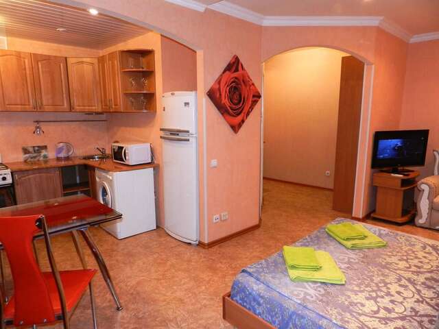 Апартаменты 1-room Apartment on Honcharenka Street 29. Center Запорожье-7